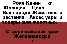  Роял Канин 20 кг Франция! › Цена ­ 3 520 - Все города Животные и растения » Аксесcуары и товары для животных   . Ставропольский край,Железноводск г.